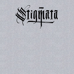 Свитшот хлопковый мужской Stigmata логотип, цвет: меланж — фото 2