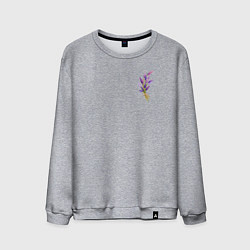 Свитшот хлопковый мужской Лаванда прованс, цвет: меланж