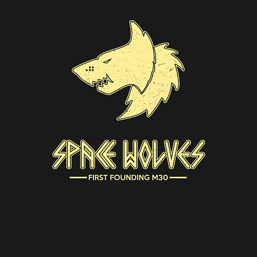 Мужской свитшот Космические волки лого винтаж / Черный – фото 3