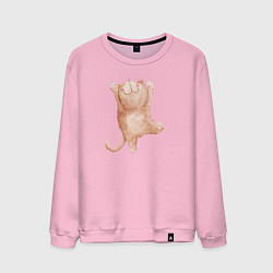 Свитшот хлопковый мужской Рыжий пушистый котик, цвет: светло-розовый