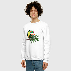 Свитшот хлопковый мужской Птица тукан с цветами и листьями, цвет: белый — фото 2