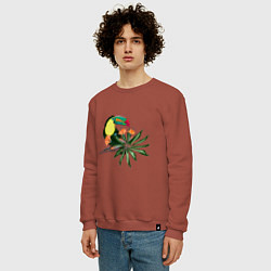 Свитшот хлопковый мужской Птица тукан с цветами и листьями, цвет: кирпичный — фото 2