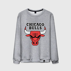 Мужской свитшот Chicago Bulls