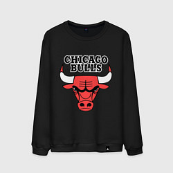 Свитшот хлопковый мужской Chicago Bulls цвета черный — фото 1