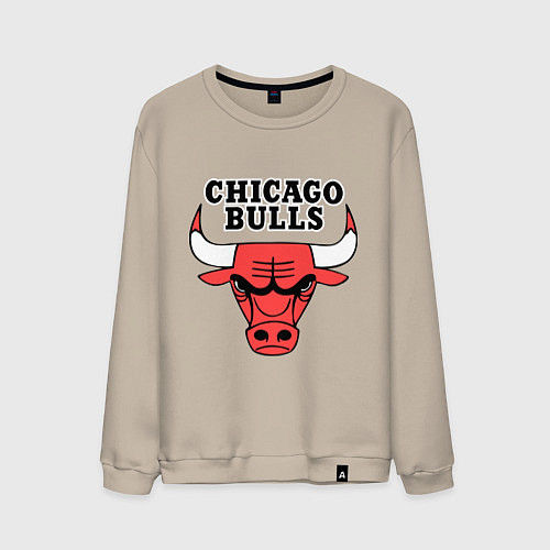 Мужской свитшот Chicago Bulls / Миндальный – фото 1