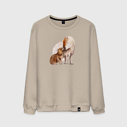 Мужской свитшот Капибары мать и дитя