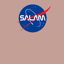 Свитшот хлопковый мужской SALAM, цвет: пыльно-розовый — фото 2