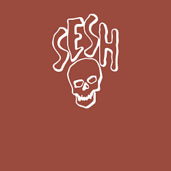 Свитшот хлопковый мужской Bones череп, цвет: кирпичный — фото 2