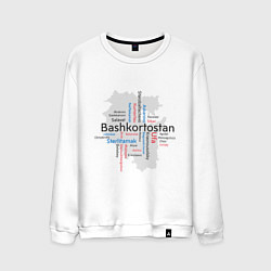 Мужской свитшот Republic of Bashkortostan