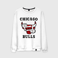 Мужской свитшот Chicago Bulls SWAG