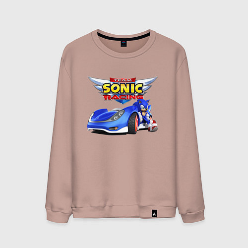 Мужской свитшот Team Sonic racing - hedgehog / Пыльно-розовый – фото 1