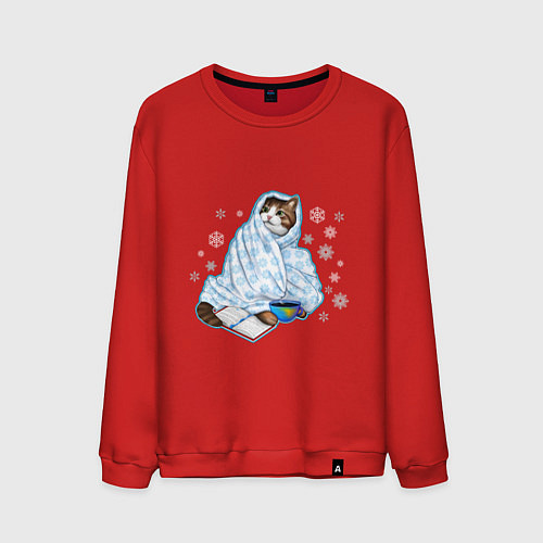 Мужской свитшот Зимний кот в одеялке с книгой / Красный – фото 1