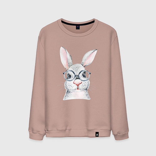 Мужской свитшот Серый кролик / Пыльно-розовый – фото 1