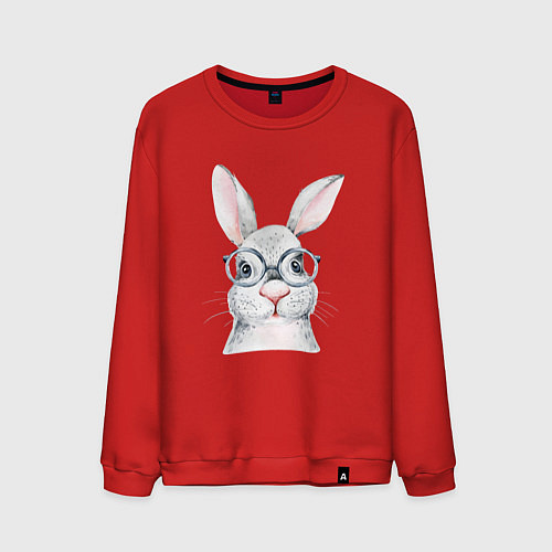 Мужской свитшот Серый кролик / Красный – фото 1