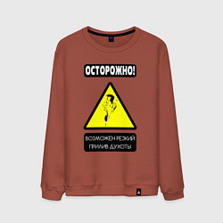 Свитшот хлопковый мужской Осторожно, душнила, цвет: кирпичный
