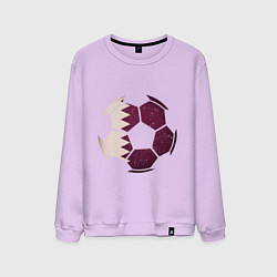 Свитшот хлопковый мужской Qatar ball, цвет: лаванда