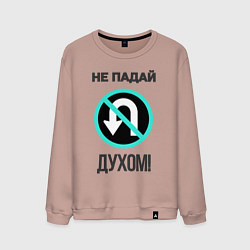 Свитшот хлопковый мужской Не падай духом!, цвет: пыльно-розовый