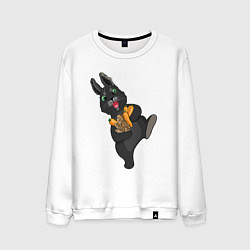 Свитшот хлопковый мужской Черный кролик с морковкой, цвет: белый