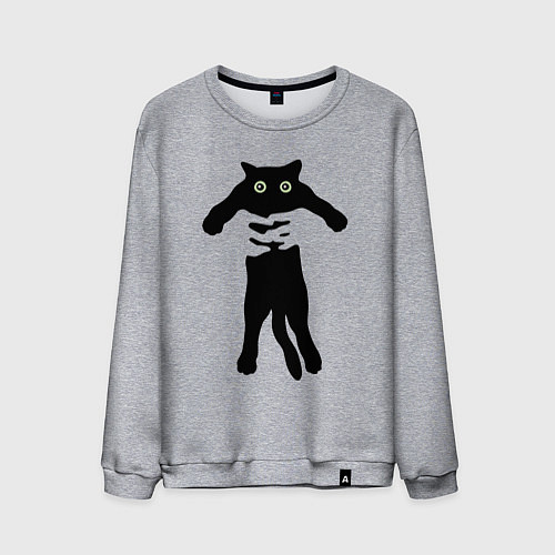 Мужской свитшот Кот на ручках / Меланж – фото 1