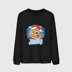 Мужской свитшот Christmas beach party