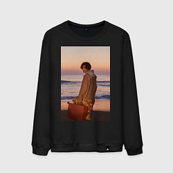 Свитшот хлопковый мужской Fujii Kaze Tabiji, цвет: черный