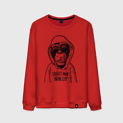 Свитшот хлопковый мужской Monkey hipster, цвет: красный