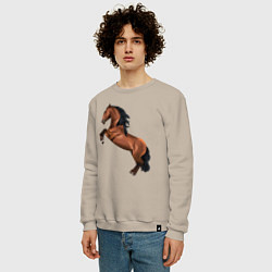 Свитшот хлопковый мужской Лузитано, цвет: миндальный — фото 2