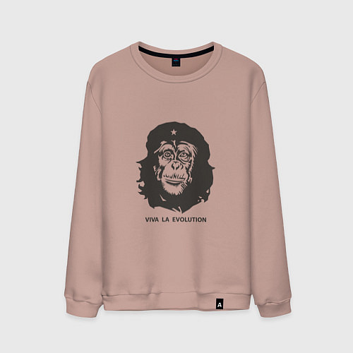 Мужской свитшот Viva la evolution / Пыльно-розовый – фото 1