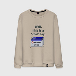 Мужской свитшот Well this is a cool day