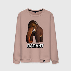 Свитшот хлопковый мужской Мамонт папант, цвет: пыльно-розовый