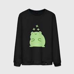 Свитшот хлопковый мужской Лягушка Kawaii, цвет: черный
