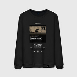 Свитшот хлопковый мужской Linkin Park Numb, цвет: черный