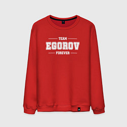 Мужской свитшот Team Egorov forever - фамилия на латинице