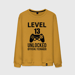 Мужской свитшот Level 13 unlocked