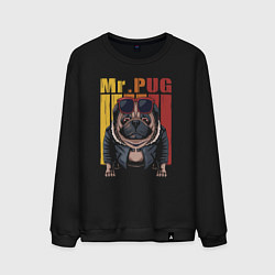 Свитшот хлопковый мужской Mr pug, цвет: черный