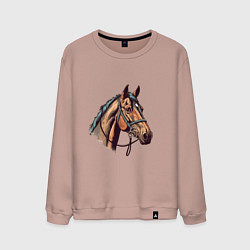 Свитшот хлопковый мужской Коняка скакуняка, цвет: пыльно-розовый