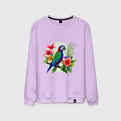 Свитшот хлопковый мужской Попугай среди цветов, цвет: лаванда