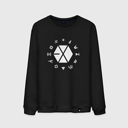 Свитшот хлопковый мужской Logo EXO, цвет: черный