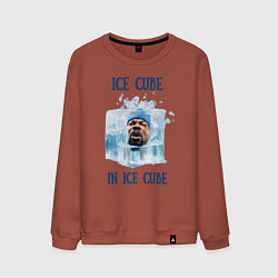 Свитшот хлопковый мужской Ice Cube in ice cube, цвет: кирпичный