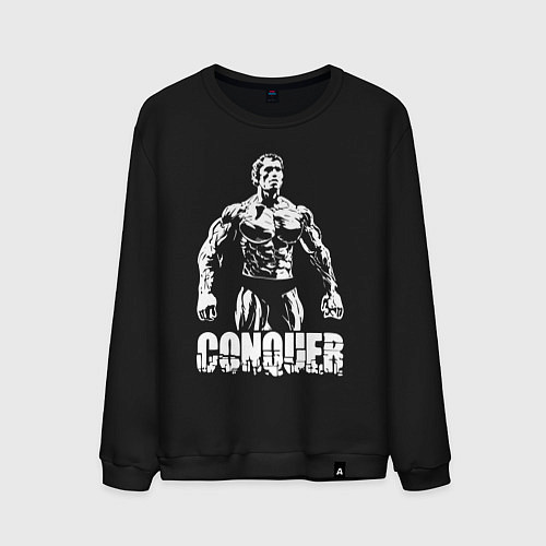 Мужской свитшот Arnold conquer / Черный – фото 1