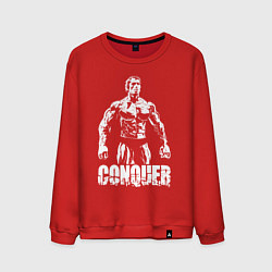 Свитшот хлопковый мужской Arnold conquer, цвет: красный