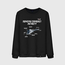 Мужской свитшот Почему самолет летает?