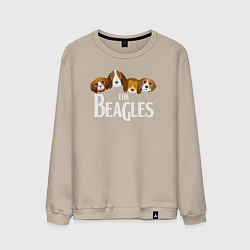Свитшот хлопковый мужской Бигли, цвет: миндальный