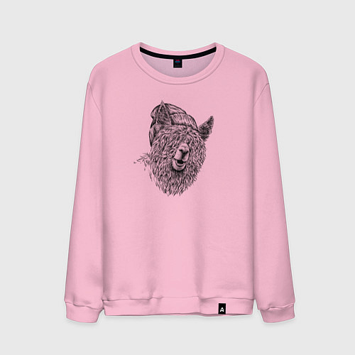 Мужской свитшот Альпака в шапке / Светло-розовый – фото 1