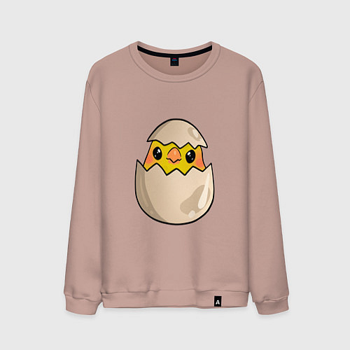 Мужской свитшот Птенец вылупившийся из яйца / Пыльно-розовый – фото 1