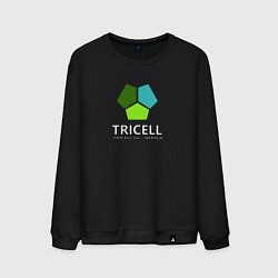 Свитшот хлопковый мужской Tricell Inc, цвет: черный