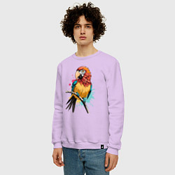 Свитшот хлопковый мужской Акварельный попугай, цвет: лаванда — фото 2