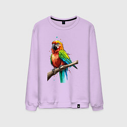 Свитшот хлопковый мужской Попугай какаду, цвет: лаванда