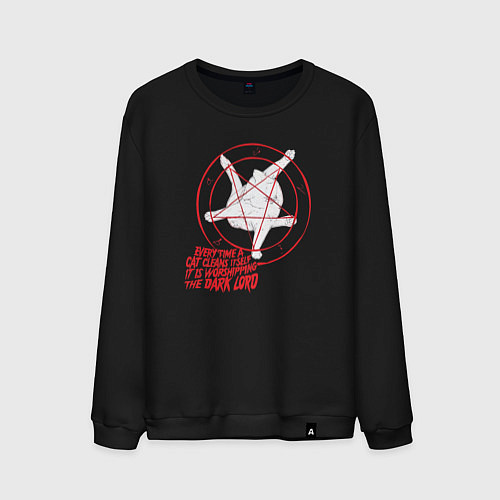 Мужской свитшот Смешная кошачья пентаграмма / Черный – фото 1