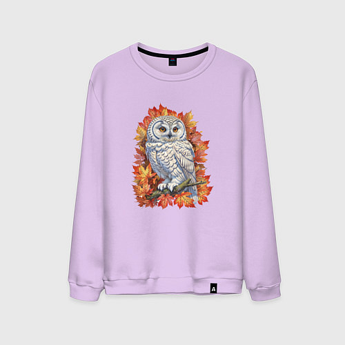 Мужской свитшот Осенняя сова / Лаванда – фото 1